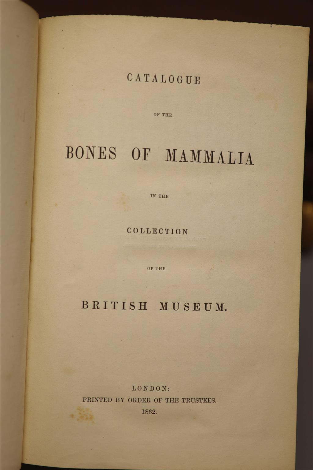 Edward Gerrard; Catalogue of the bones of Mammalia in the collection of the British museum, British Museum (Natural History). Departmen